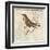 Bird Woodcut II-Elizabeth Medley-Framed Art Print