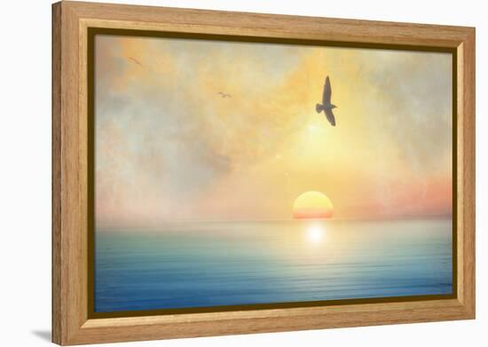 Bird-Viviane Fedieu Daniel-Framed Premier Image Canvas