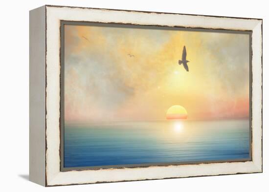 Bird-Viviane Fedieu Daniel-Framed Premier Image Canvas