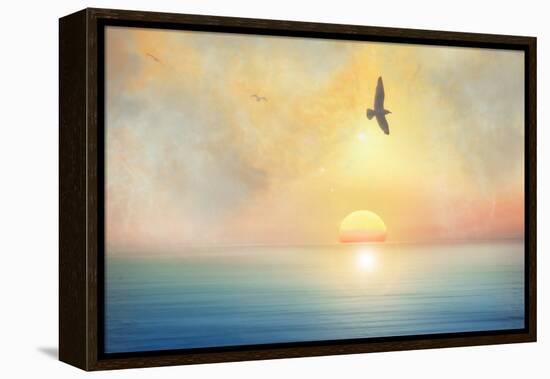 Bird-Viviane Fedieu Daniel-Framed Premier Image Canvas