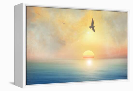 Bird-Viviane Fedieu Daniel-Framed Premier Image Canvas