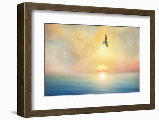 Bird-Viviane Fedieu Daniel-Framed Photographic Print