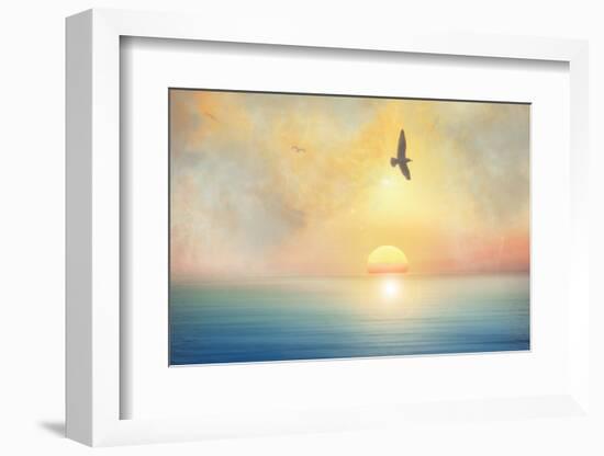 Bird-Viviane Fedieu Daniel-Framed Photographic Print