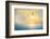 Bird-Viviane Fedieu Daniel-Framed Photographic Print