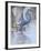 Bird-Rusty Frentner-Framed Giclee Print