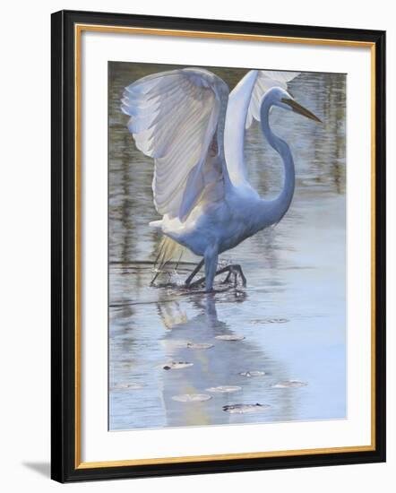 Bird-Rusty Frentner-Framed Giclee Print