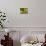 Birdbath and Flowers, Oakland House Seaside Resort, Brooksville-Jerry & Marcy Monkman-Photographic Print displayed on a wall