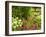 Birdbath and Flowers, Oakland House Seaside Resort, Brooksville-Jerry & Marcy Monkman-Framed Photographic Print