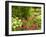 Birdbath and Flowers, Oakland House Seaside Resort, Brooksville-Jerry & Marcy Monkman-Framed Photographic Print