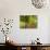 Birdbath and Flowers, Oakland House Seaside Resort, Brooksville-Jerry & Marcy Monkman-Photographic Print displayed on a wall