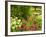 Birdbath and Flowers, Oakland House Seaside Resort, Brooksville-Jerry & Marcy Monkman-Framed Photographic Print