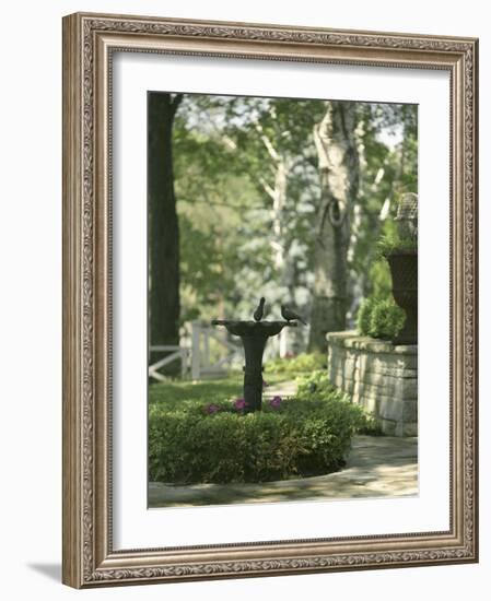 Birdbath and Planter-null-Framed Photographic Print