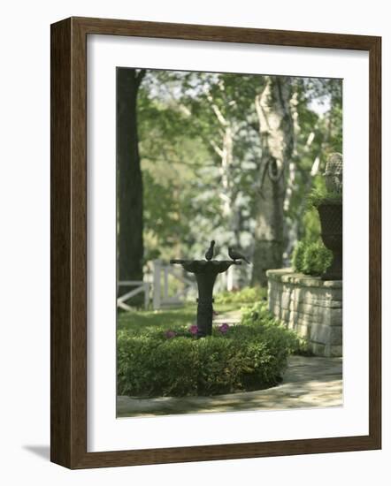 Birdbath and Planter-null-Framed Photographic Print