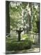 Photographic Print