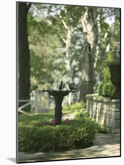 Birdbath and Planter-null-Mounted Photographic Print