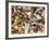 Birdfoot Violets and White Oak Leaves, Mark Twain National Forest, Missouri, USA-Charles Gurche-Framed Photographic Print