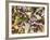 Birdfoot Violets and White Oak Leaves, Mark Twain National Forest, Missouri, USA-Charles Gurche-Framed Photographic Print