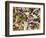 Birdfoot Violets and White Oak Leaves, Mark Twain National Forest, Missouri, USA-Charles Gurche-Framed Photographic Print