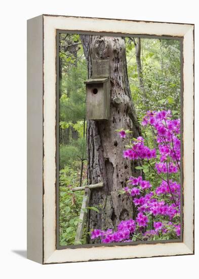 Birdhouse and Azaleas, Azalea Path Arboretum and Botanical Gardens, Hazleton, Indiana-Richard and Susan Day-Framed Premier Image Canvas