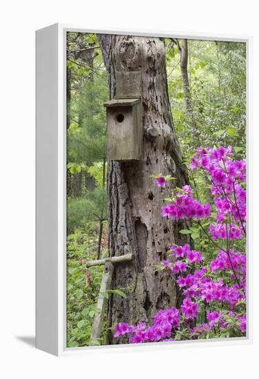 Birdhouse and Azaleas, Azalea Path Arboretum and Botanical Gardens, Hazleton, Indiana-Richard and Susan Day-Framed Premier Image Canvas