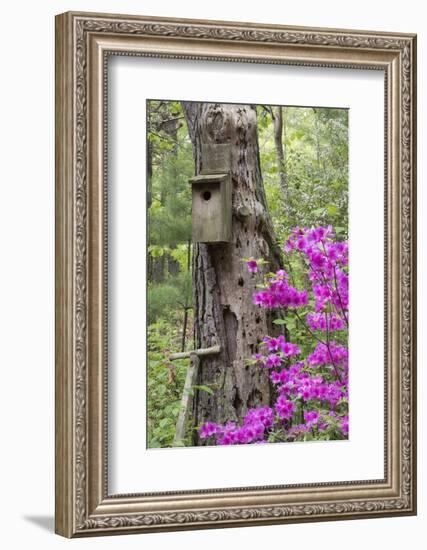 Birdhouse and Azaleas, Azalea Path Arboretum and Botanical Gardens, Hazleton, Indiana-Richard and Susan Day-Framed Photographic Print