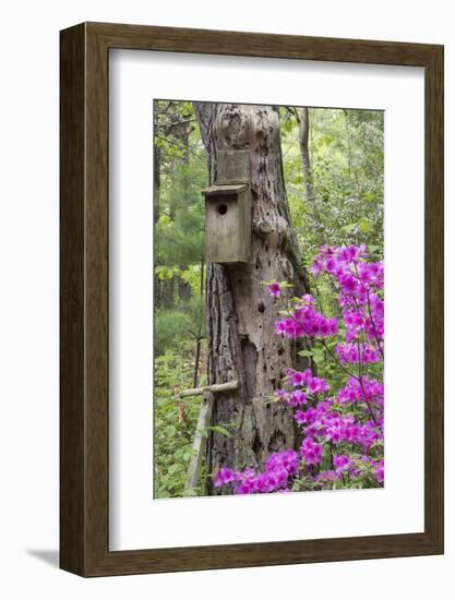 Birdhouse and Azaleas, Azalea Path Arboretum and Botanical Gardens, Hazleton, Indiana-Richard and Susan Day-Framed Photographic Print