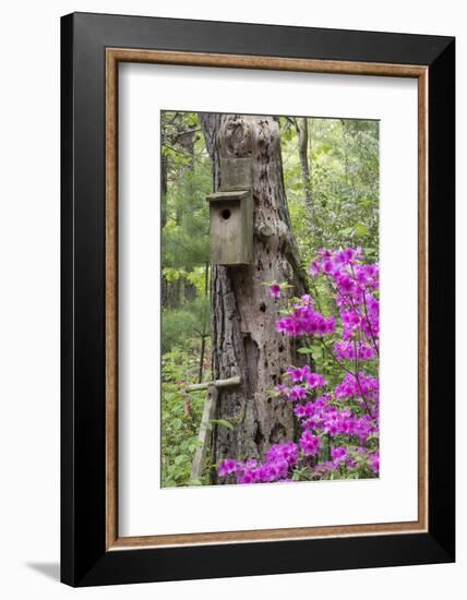 Birdhouse and Azaleas, Azalea Path Arboretum and Botanical Gardens, Hazleton, Indiana-Richard and Susan Day-Framed Photographic Print