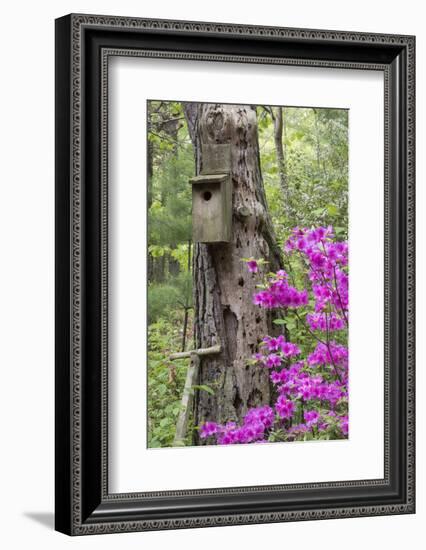 Birdhouse and Azaleas, Azalea Path Arboretum and Botanical Gardens, Hazleton, Indiana-Richard and Susan Day-Framed Photographic Print