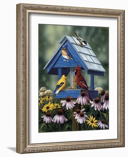 Birdhouse, Birds, Coneflower-William Vanderdasson-Framed Giclee Print