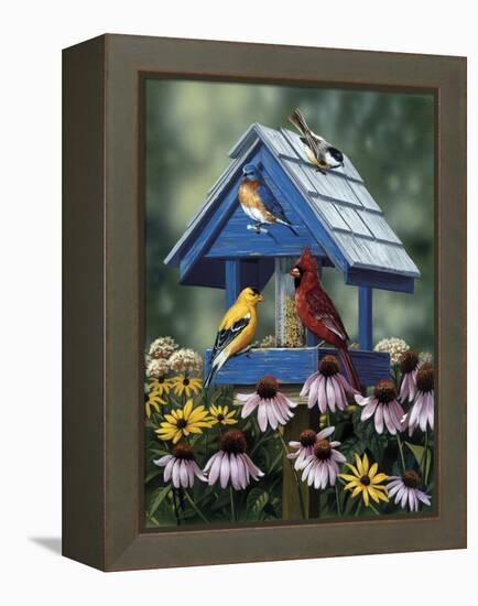 Birdhouse, Birds, Coneflower-William Vanderdasson-Framed Premier Image Canvas