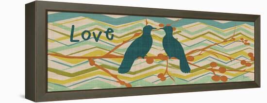 Birdie Love-Diane Stimson-Framed Stretched Canvas