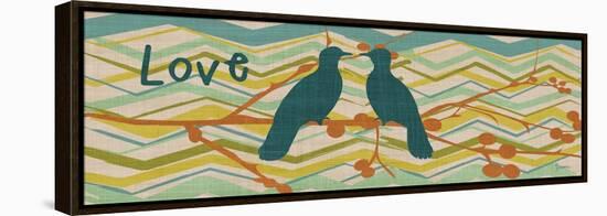 Birdie Love-Diane Stimson-Framed Stretched Canvas