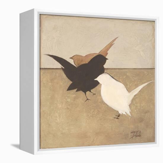 Birdies I-Patricia Pinto-Framed Stretched Canvas