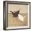 Birdies I-Patricia Pinto-Framed Art Print