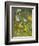 Birding II-Chariklia Zarris-Framed Art Print