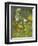 Birding II-Chariklia Zarris-Framed Art Print