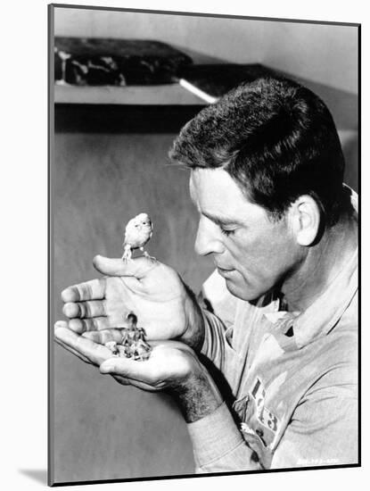 Birdman of Alcatraz, 1962-null-Mounted Photographic Print
