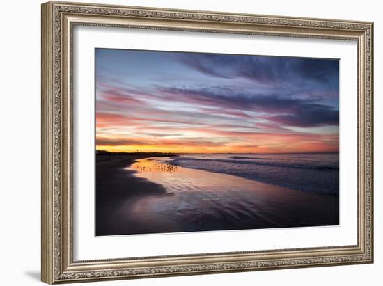 Birdrise-Chris Moyer-Framed Photographic Print