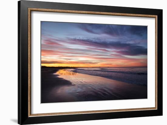 Birdrise-Chris Moyer-Framed Photographic Print