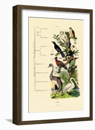 Birds, 1833-39-null-Framed Giclee Print
