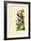 Birds, 1833-39-null-Framed Giclee Print