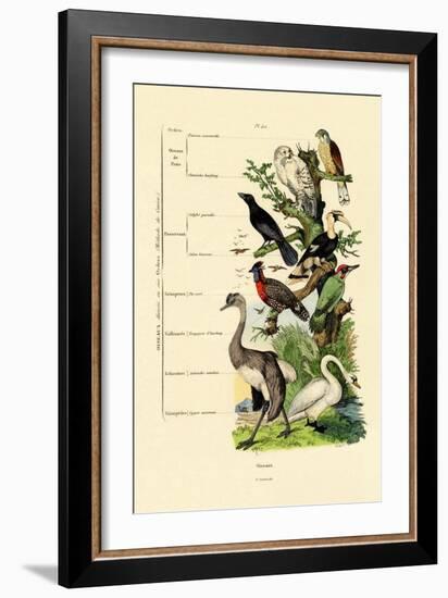 Birds, 1833-39-null-Framed Giclee Print