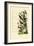 Birds, 1833-39-null-Framed Giclee Print