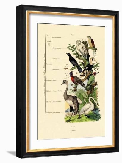 Birds, 1833-39-null-Framed Giclee Print