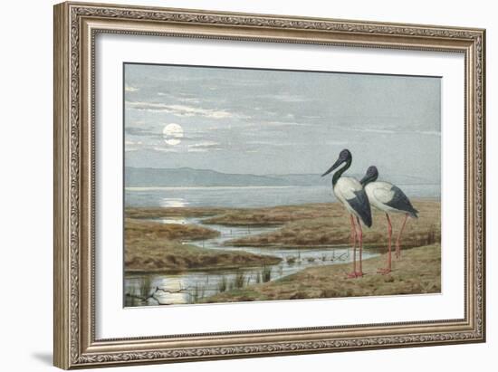 Birds Against a Stark Moonlit Landscape, c.1870-90-Henry Stacey Marks-Framed Giclee Print