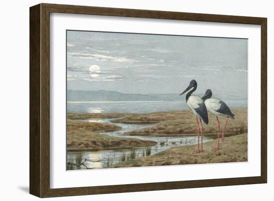 Birds Against a Stark Moonlit Landscape, c.1870-90-Henry Stacey Marks-Framed Giclee Print