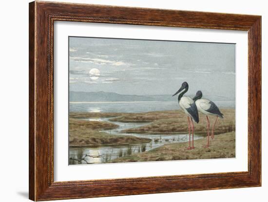 Birds Against a Stark Moonlit Landscape, c.1870-90-Henry Stacey Marks-Framed Giclee Print