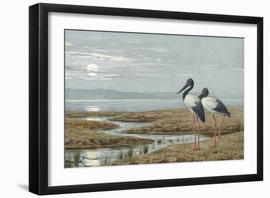 Birds Against a Stark Moonlit Landscape, c.1870-90-Henry Stacey Marks-Framed Giclee Print