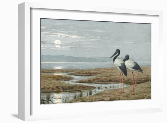 Birds Against a Stark Moonlit Landscape, c.1870-90-Henry Stacey Marks-Framed Giclee Print