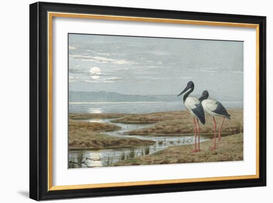 Birds Against a Stark Moonlit Landscape, c.1870-90-Henry Stacey Marks-Framed Giclee Print